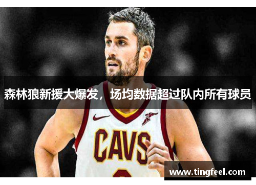 森林狼新援大爆发，场均数据超过队内所有球员