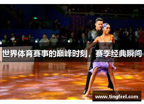 世界体育赛事的巅峰时刻，赛季经典瞬间