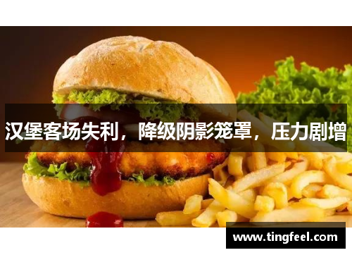 汉堡客场失利，降级阴影笼罩，压力剧增