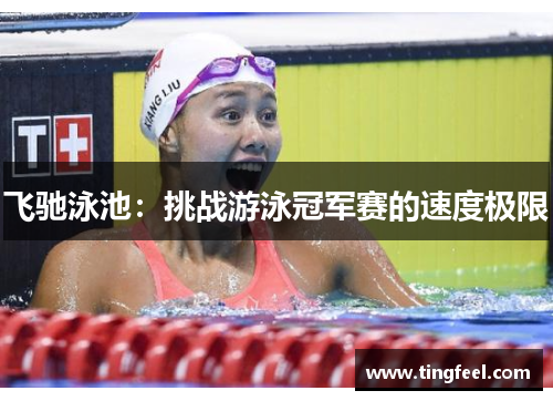 飞驰泳池：挑战游泳冠军赛的速度极限