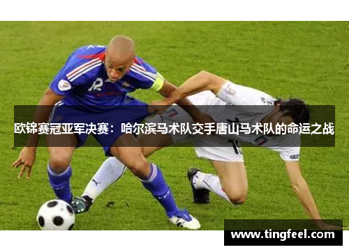 欧锦赛冠亚军决赛：哈尔滨马术队交手唐山马术队的命运之战