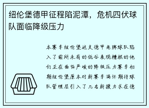 纽伦堡德甲征程陷泥潭，危机四伏球队面临降级压力